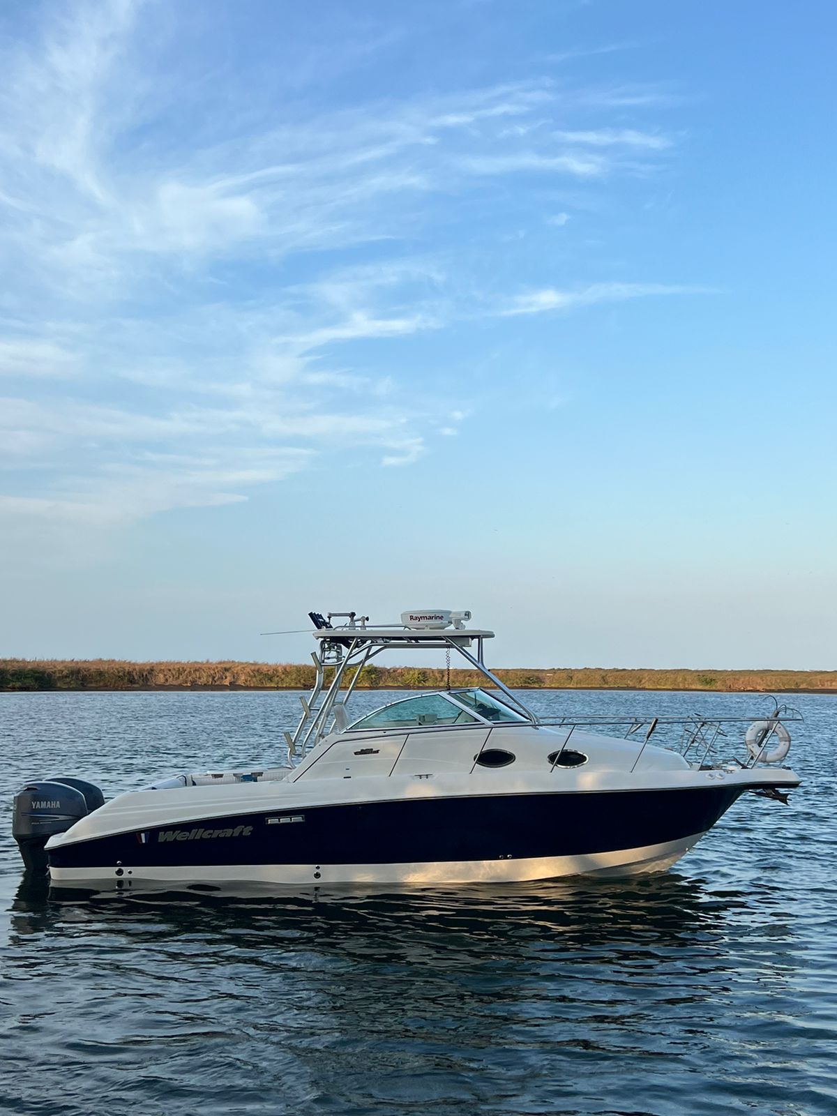 WELLCRAFT 270 FT