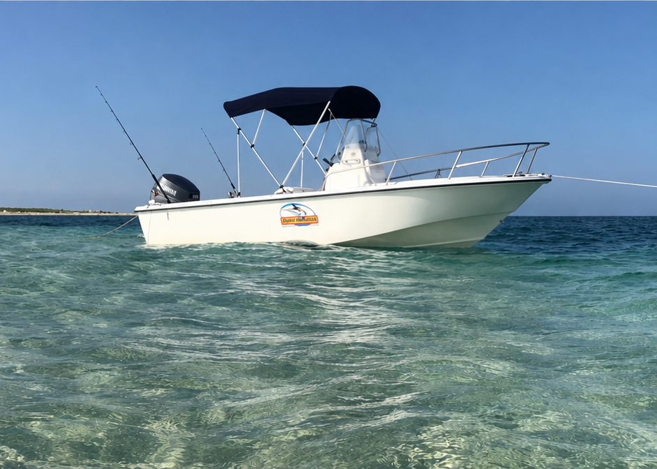 EDGE WATER 180 FT